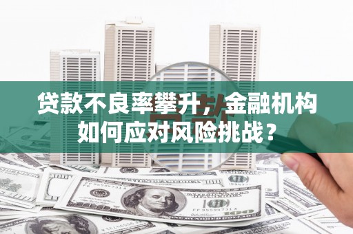 邢台贷款不良率攀升，金融机构如何应对风险挑战？