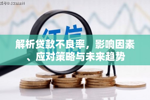 邢台解析贷款不良率，影响因素、应对策略与未来趋势