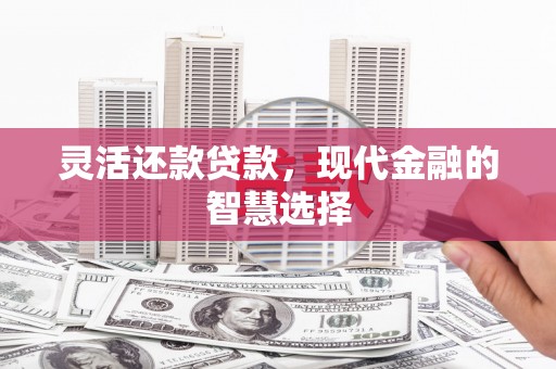 邢台灵活还款贷款，现代金融的智慧选择