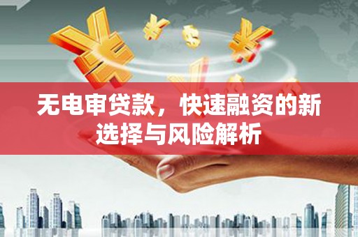 邢台无电审贷款，快速融资的新选择与风险解析
