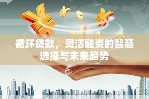 邢台循环贷款，灵活融资的智慧选择与未来趋势