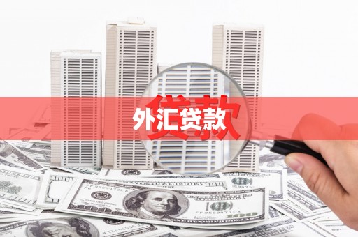 邢台外汇贷款