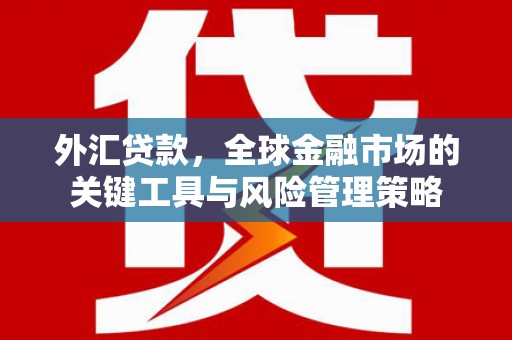 邢台外汇贷款，全球金融市场的关键工具与风险管理策略