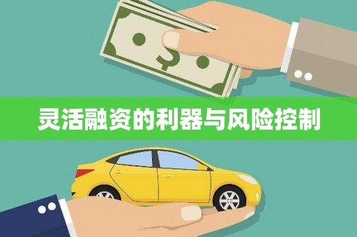 邢台灵活融资的利器与风险控制