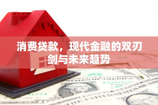 邢台消费贷款，现代金融的双刃剑与未来趋势