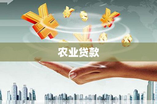 邢台农业贷款