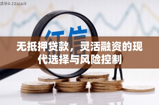 邢台无抵押贷款，灵活融资的现代选择与风险控制