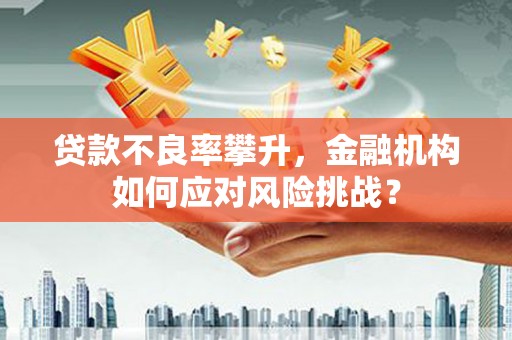 邢台贷款不良率攀升，金融机构如何应对风险挑战？