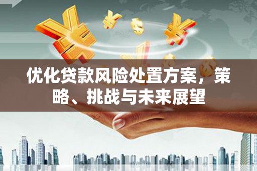 邢台优化贷款风险处置方案，策略、挑战与未来展望