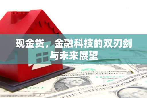 邢台现金贷，金融科技的双刃剑与未来展望