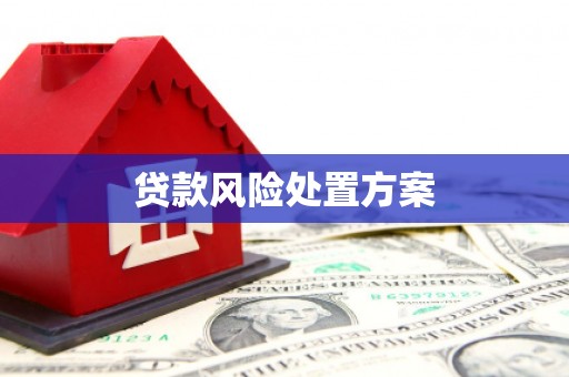 邢台贷款风险处置方案
