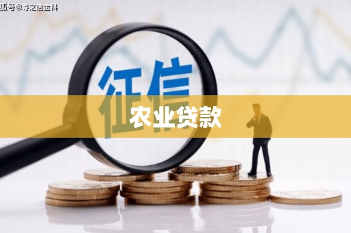邢台农业贷款