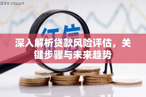 邢台深入解析贷款风险评估，关键步骤与未来趋势