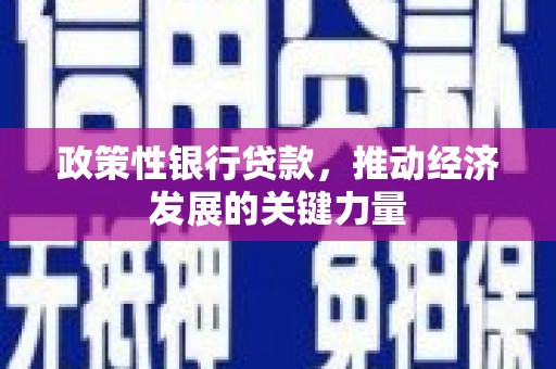 邢台政策性银行贷款，推动经济发展的关键力量