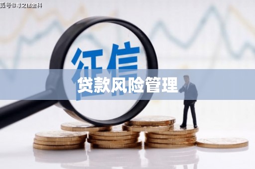 邢台贷款风险管理