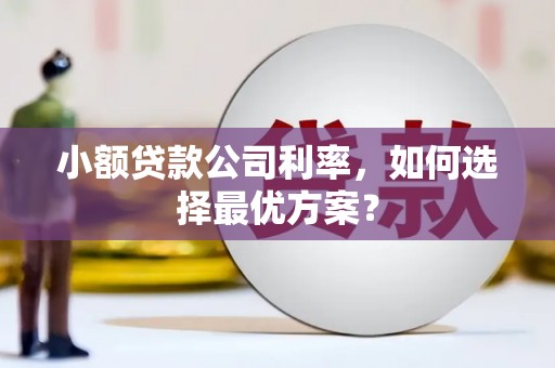 邢台小额贷款公司利率，如何选择最优方案？