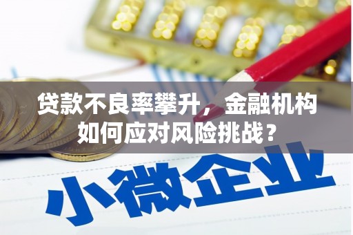 邢台贷款不良率攀升，金融机构如何应对风险挑战？