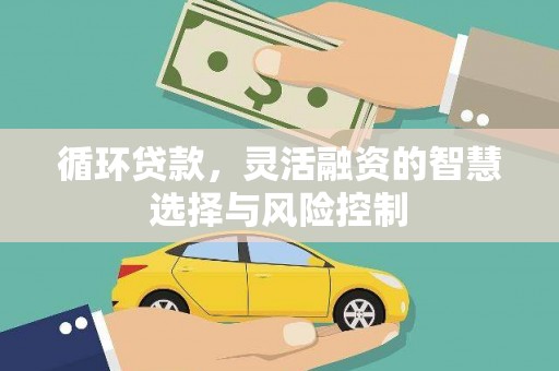 邢台循环贷款，灵活融资的智慧选择与风险控制