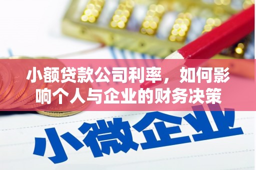 邢台小额贷款公司利率，如何影响个人与企业的财务决策