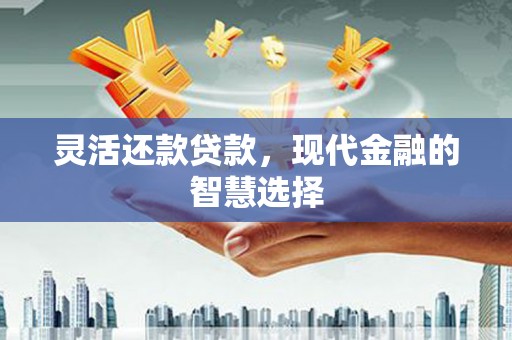 邢台灵活还款贷款，现代金融的智慧选择