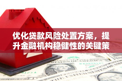 邢台优化贷款风险处置方案，提升金融机构稳健性的关键策略