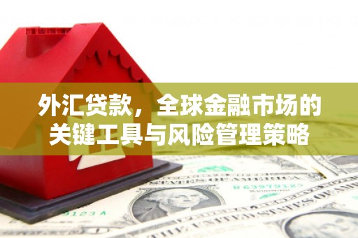 邢台外汇贷款，全球金融市场的关键工具与风险管理策略