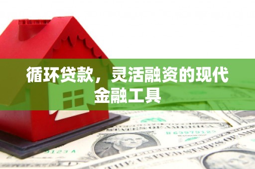 邢台循环贷款，灵活融资的现代金融工具
