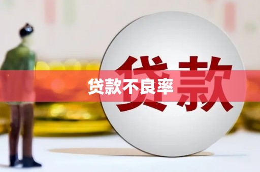 邢台贷款不良率