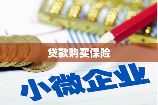 邢台贷款购买保险
