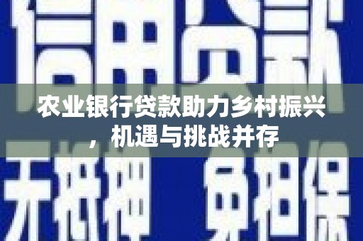 邢台农业银行贷款助力乡村振兴，机遇与挑战并存