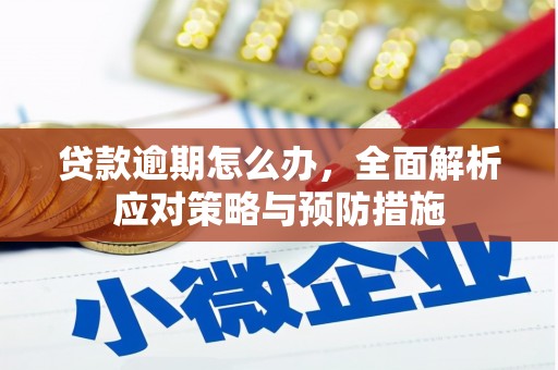 邢台贷款逾期怎么办，全面解析应对策略与预防措施