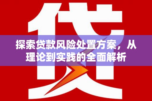邢台探索贷款风险处置方案，从理论到实践的全面解析
