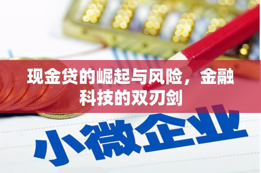 邢台现金贷的崛起与风险，金融科技的双刃剑