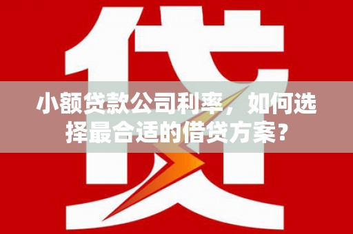 邢台小额贷款公司利率，如何选择最合适的借贷方案？