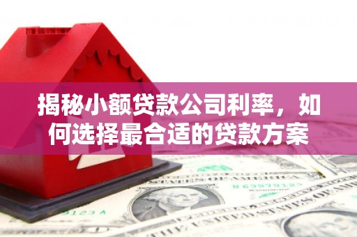 邢台揭秘小额贷款公司利率，如何选择最合适的贷款方案