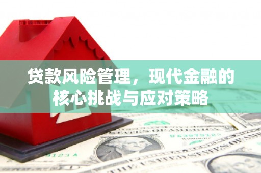 邢台贷款风险管理，现代金融的核心挑战与应对策略