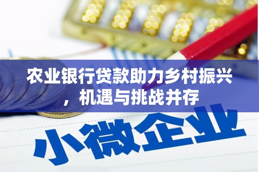邢台农业银行贷款助力乡村振兴，机遇与挑战并存