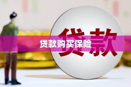 邢台贷款购买保险