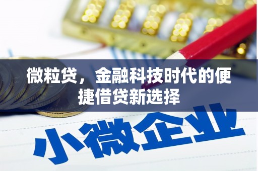 邢台微粒贷，金融科技时代的便捷借贷新选择