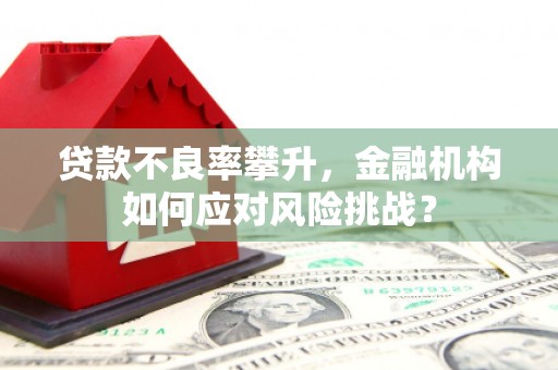 邢台贷款不良率攀升，金融机构如何应对风险挑战？
