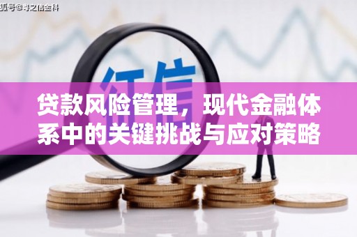 邢台贷款风险管理，现代金融体系中的关键挑战与应对策略