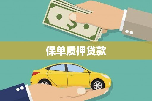 邢台保单质押贷款