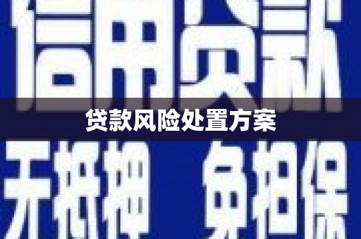 邢台贷款风险处置方案