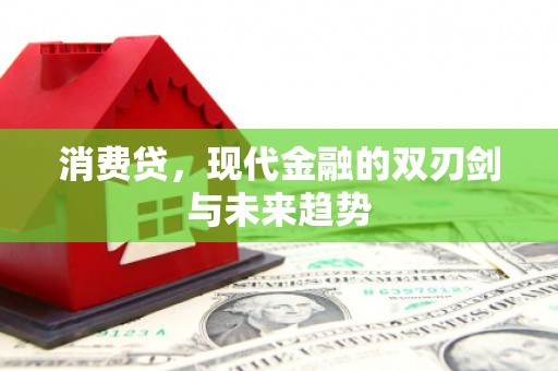 邢台消费贷，现代金融的双刃剑与未来趋势