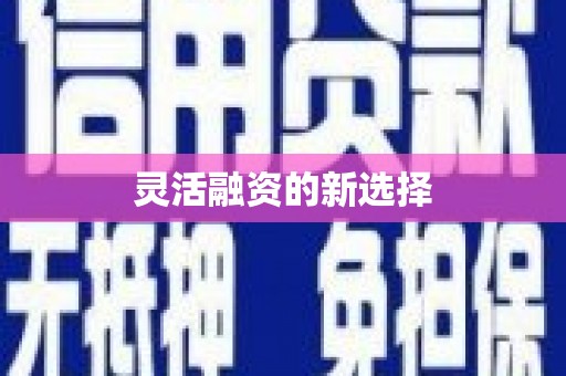 邢台灵活融资的新选择