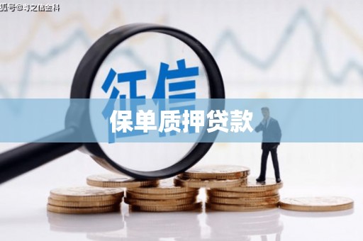 邢台保单质押贷款