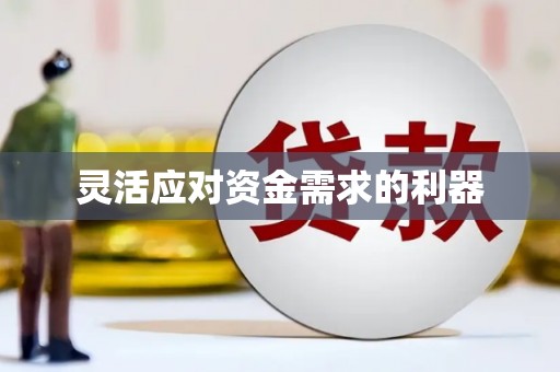 邢台灵活应对资金需求的利器