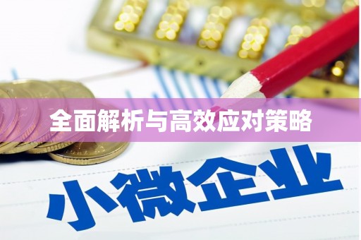 邢台全面解析与高效应对策略