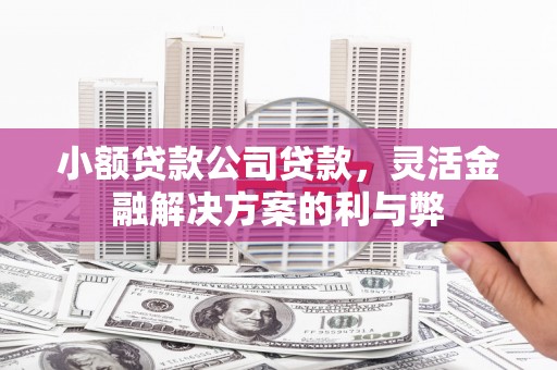 邢台小额贷款公司贷款，灵活金融解决方案的利与弊
