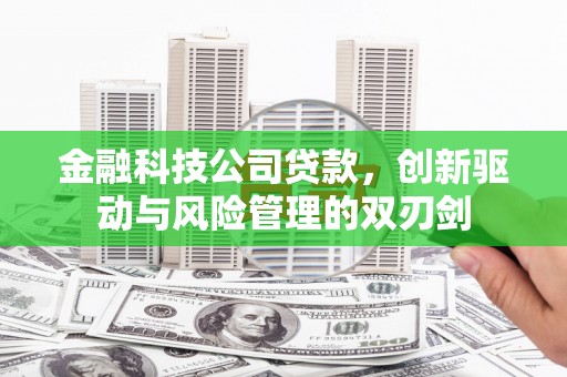 邢台金融科技公司贷款，创新驱动与风险管理的双刃剑